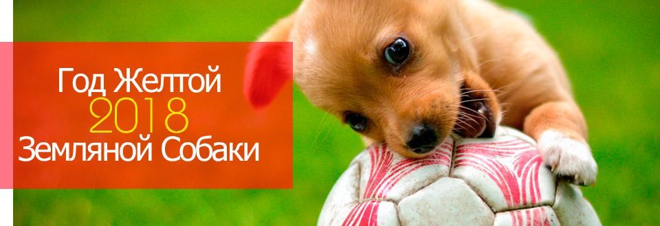 2018 рік - рік якої тварини за китайським гороскопом?