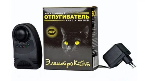 6 кращих способів, як позбутися мишей в будинку назавжди