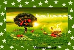 білий приворот