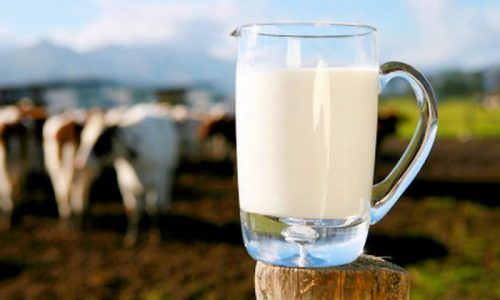 Часто після прийому в їжу молока починається пронос, причому від нього страждають, як дорослі люди, так і діти