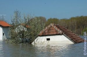 До чого сниться Повінь уві сні