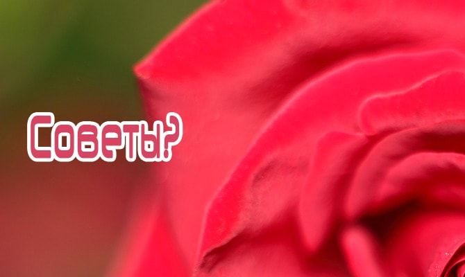 Древній російський пасьянс