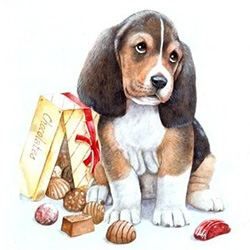 Гороскоп на 2018 рік для Собаки: жінка і чоловік