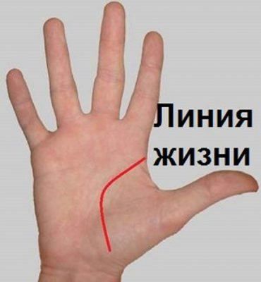 Хіромантія для початківців: з роз'ясненнями, самостійно, як навчитися