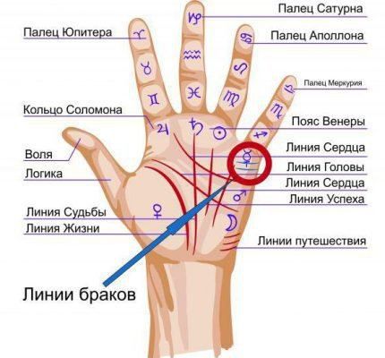 Хіромантія: як дізнатися по руці, скільки буде дітей, ворожіння