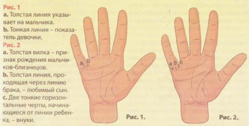 Хіромантія: як дізнатися по руці, скільки буде дітей, ворожіння