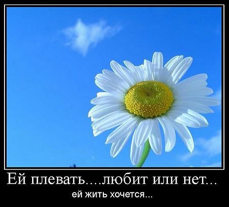 Як дізнатися чи любить тебе хлопець: по листуванню, по жестам, погляду, поведінки, смс і дзвінків ворожіння