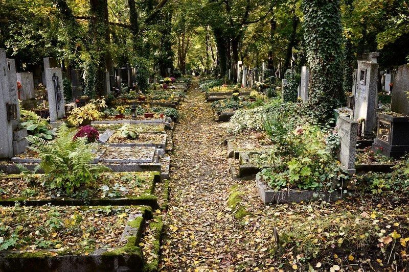 Як навести порчу на людину: по фотографії, на смерть, самотність