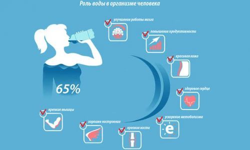 Кожен день в організмі людини утворюється близько 9 літрів рідини