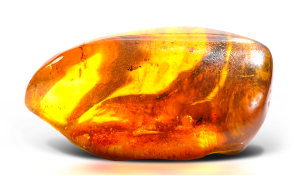 Камінь Янтар: Магічні властивості і кому підходить за знаком зодіаку (Фото)