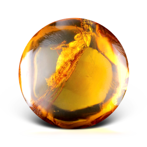 Камінь Янтар: Магічні властивості і кому підходить за знаком зодіаку (Фото)
