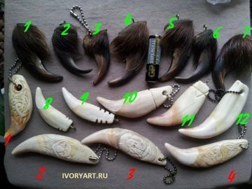 Кігті, ікла - амулети, обереги, символи воїнів