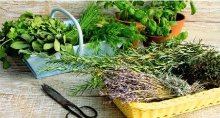 Кращі народні засоби від запаморочення