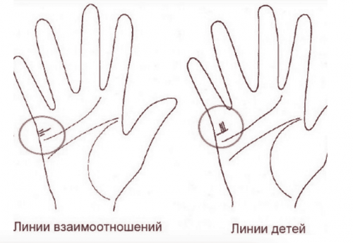 Лінія шлюбу і дітей на руці: хіромантія, з роз' title=