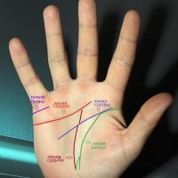 Лінія шлюбу на руці: де розташована, значення і знаки на ній