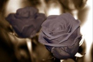 Любовний приворот по фотографії на відстані
