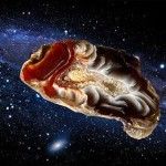 Магічні властивості каменів, камені талісмани