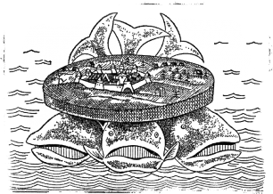 Магія числа 19