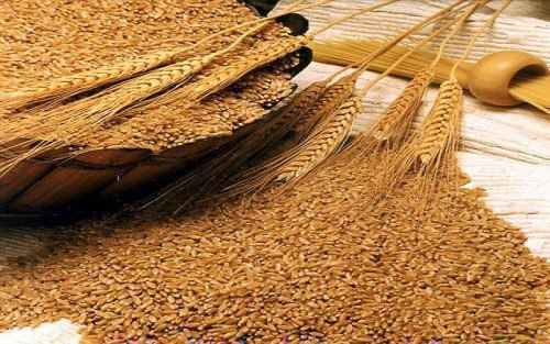 Магія і управління людиною: ритуал для підпорядкування людини, наслідки