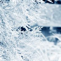 Магія першого снігу, зимові змови - Завжди важливо