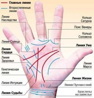 На якій руці дивляться лінію життя: у жінок і чоловіків, де знаходиться, хіромантія