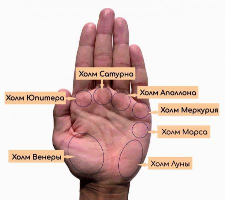 Пагорб Венери на долоні: у жінок, значення, хіромантія
