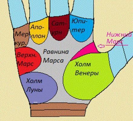 Пагорби (горби) на долоні: хіромантія, значення, на руці