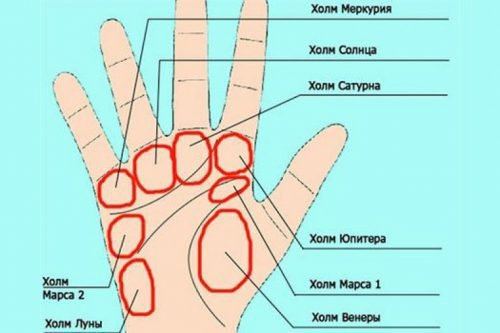 Пагорби (горби) на долоні: хіромантія, значення, на руці