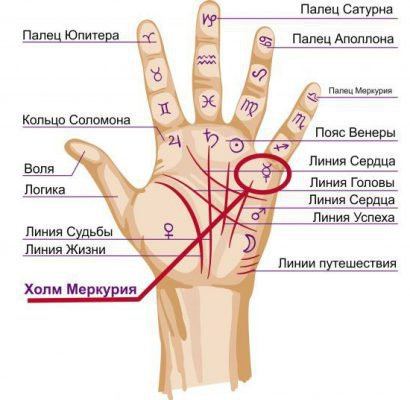 Пагорби (горби) на долоні: хіромантія, значення, на руці