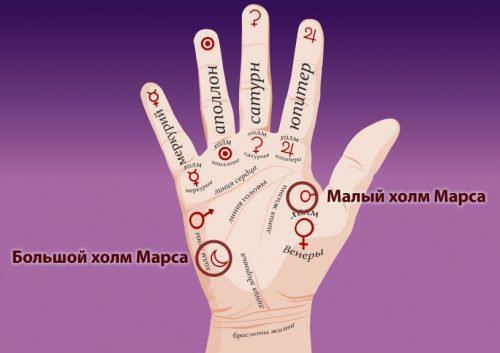 Пагорби (горби) на долоні: хіромантія, значення, на руці