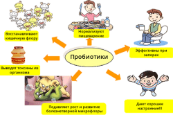 функції прибутків