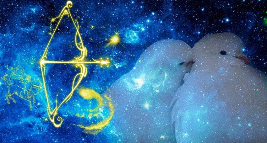 Стрілець і Водолій: сумісність двох неординарних знаків в любові