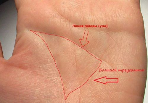 Трикутник на долоні: хіромантія, що означає, великий