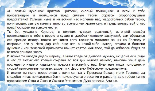 У чому допомагає святий Трифон - молитва святому Трифону щодо допомоги в роботі