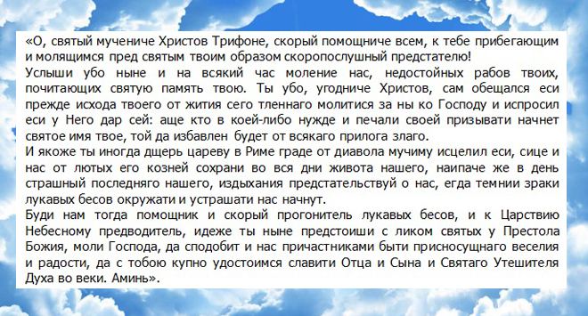 У чому допомагає святий Трифон - молитва святому Трифону про допомогу в роботі