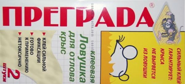 У каркасний будинок можуть легко проникнути миші і щури, опис отрав