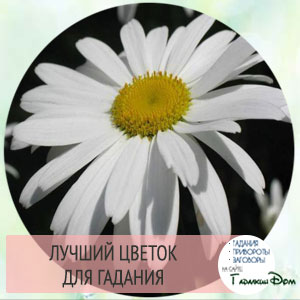 Ворожіння на квітах
