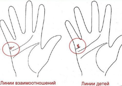 Ворожіння по руці для початківців: хіромантія, по лініях, поетапно