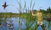 Все Змови на удачу, Змови на всі випадки життя