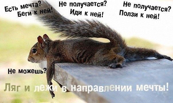 Змова на удачу в роботі читати