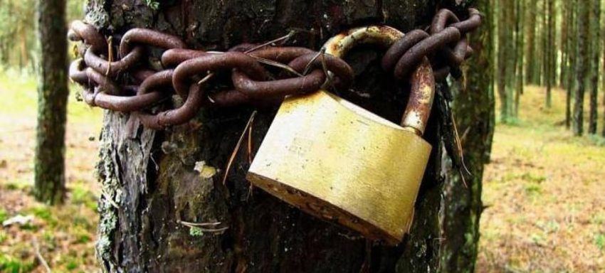 Змова на замок: як захистити свою любов і рідний дім
