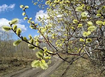 Змови і молитви, щоб швидко вийти заміж