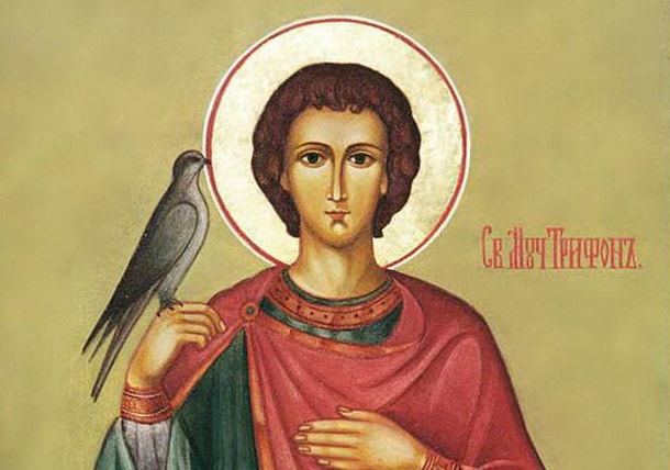 Змови молитви від клопів комах в квартирі будинку від Сибірської цілительки
