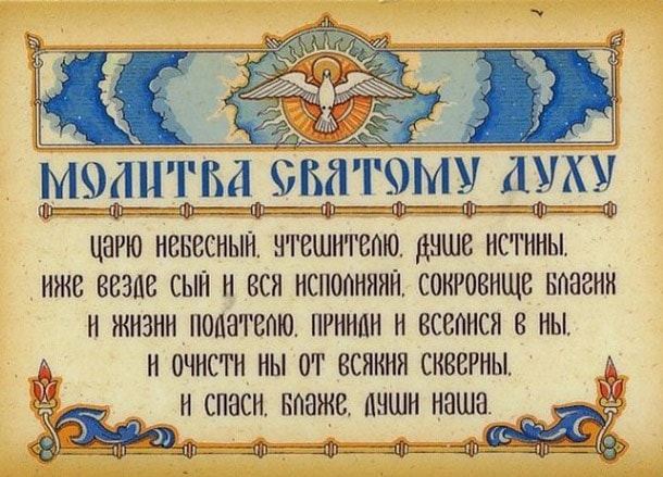 Змови молитви від клопів комах в квартирі будинку від Сибірської цілительки