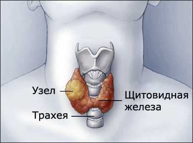 Змови від щитовидки