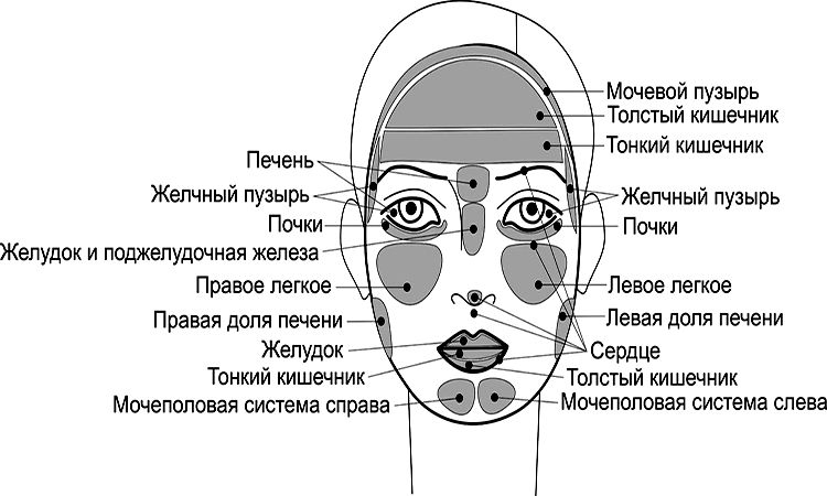 ліцо1