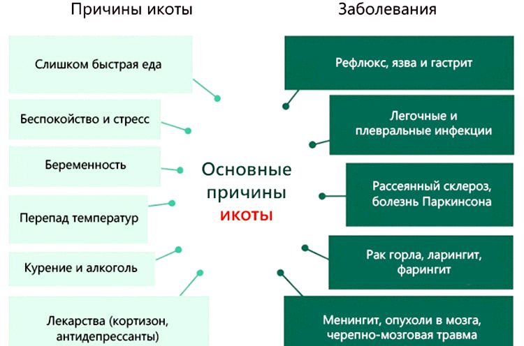 ікота5