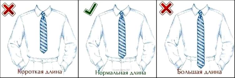 Як зав'язати чоловічу краватку