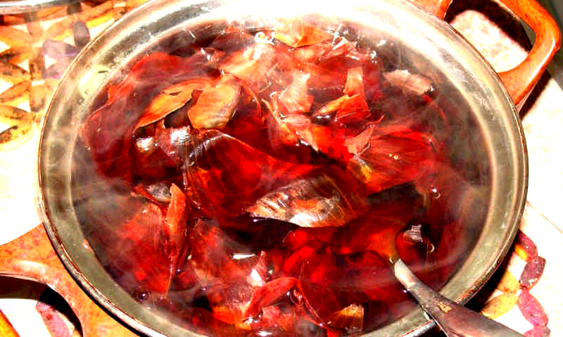 цибулиння