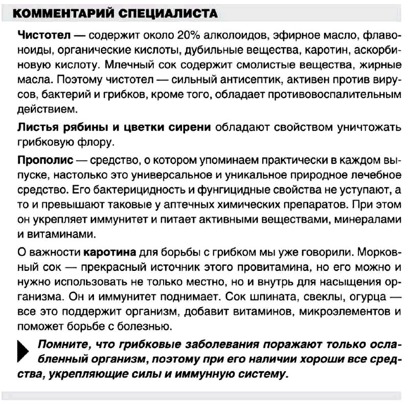 грибок